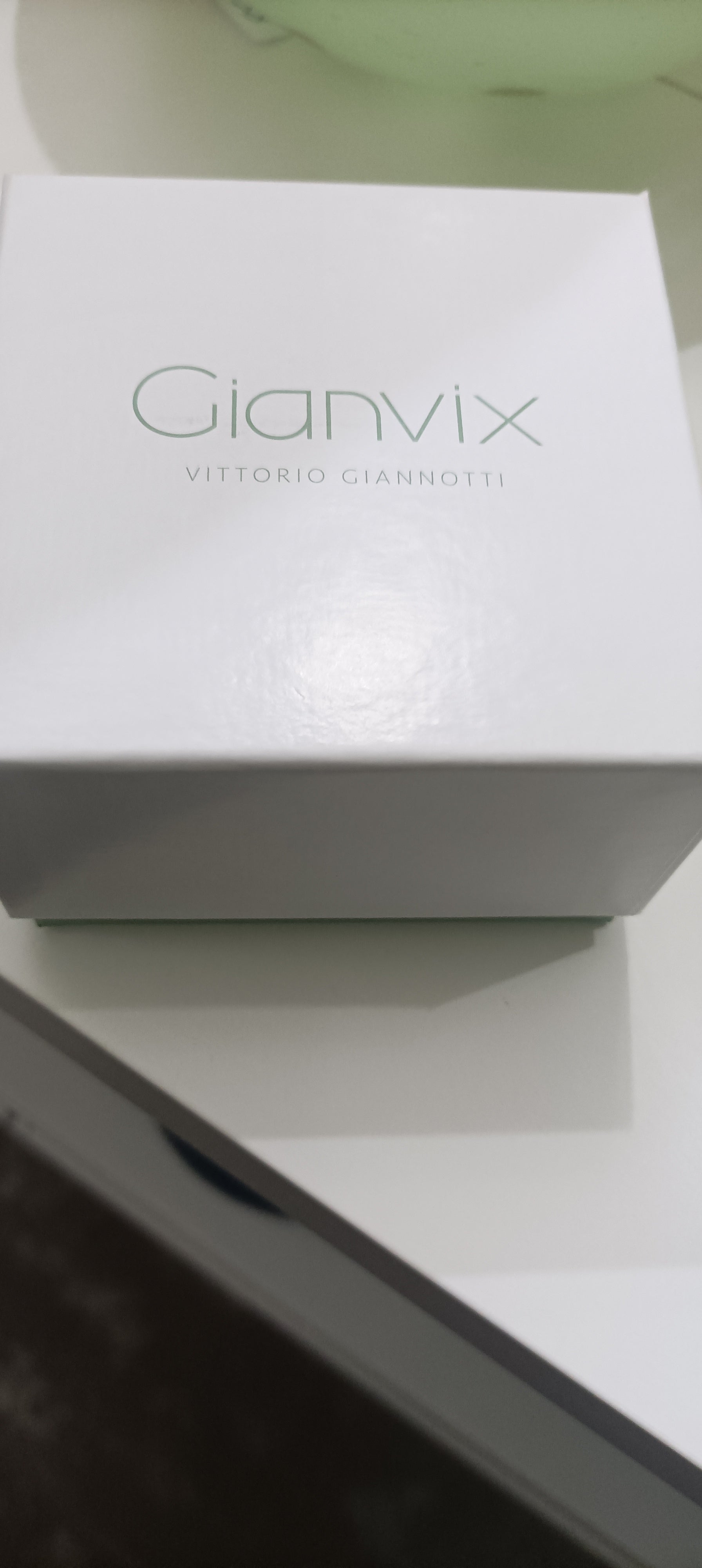 Orologio Gianvix Donna GX333-B